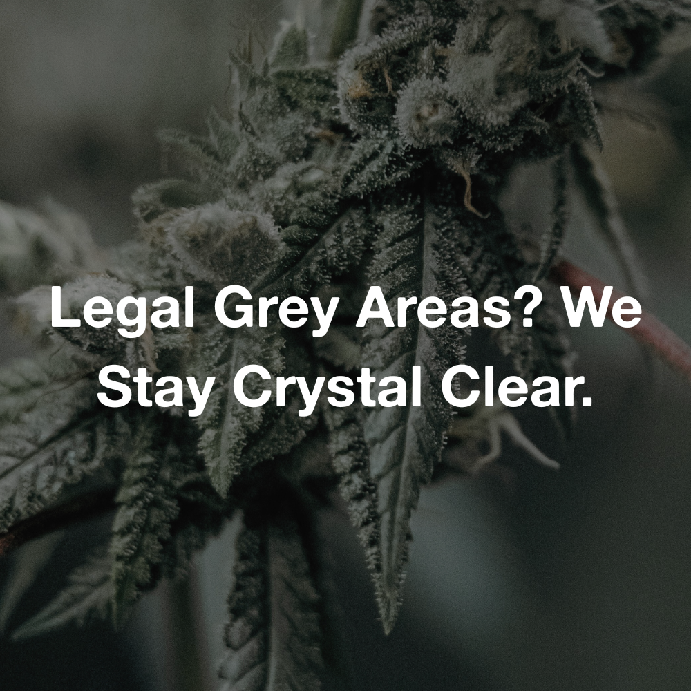 ⚠️ The Hidden Risk in “Legal Highs”: Why Solovya Says No to Grey-Zone Cannabinoids