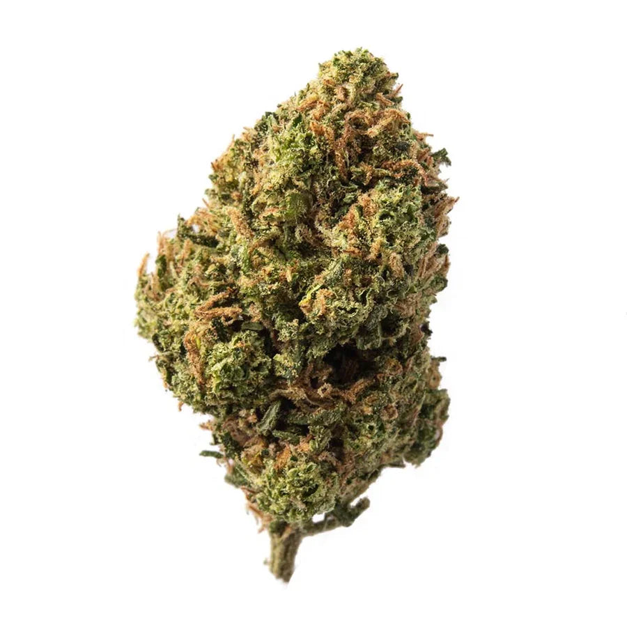 Carmel Candy OC