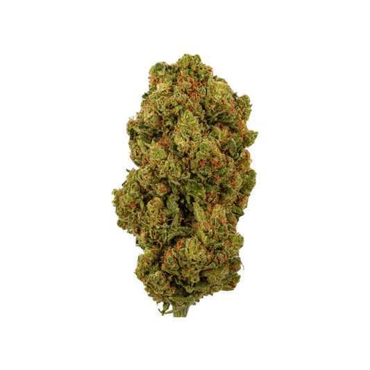 Amnesia CB