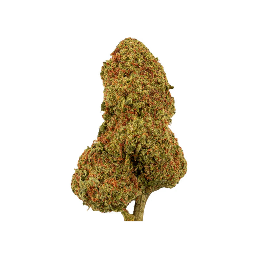 Candy Kush TA