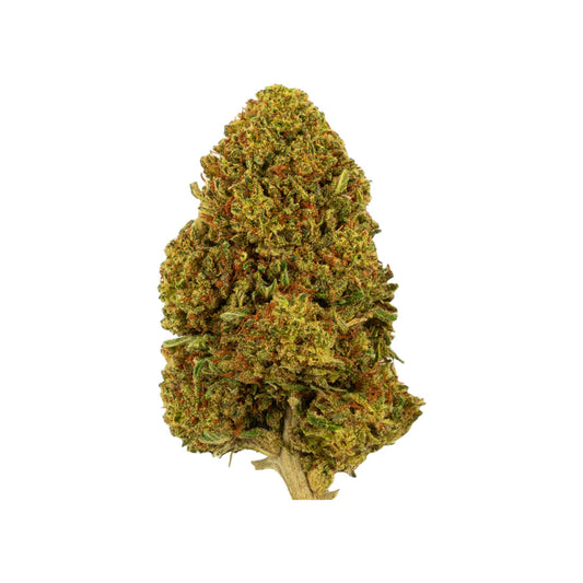 Gelato 41 CB